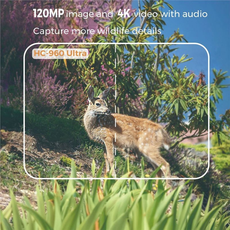 Y47A กล้องถ่ายภาพสัตว์ป่า 4G ก - Hunting And Outdoor Shows บทวิจารณ์และราคา