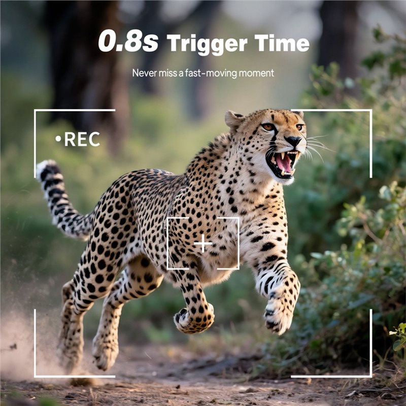 กล้องดักถ่ายสัตว์ป่าสำหรับใช้ง - Trail Camera Infrared บทวิจารณ์และราคา